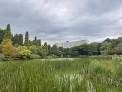 -井之头恩赐公园