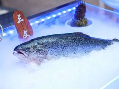 -海韵之星邮轮水会(明发商业广场店)