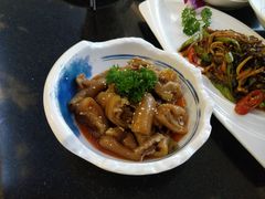 -云中小雅