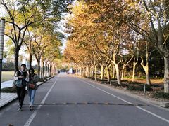 -东华大学(松江校区)
