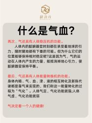 点击看大图 -玛莲朵·海菲秀冰珀科