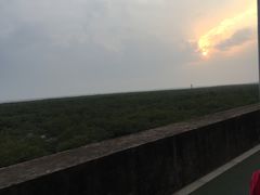 -北海金海湾红树林生态旅游区