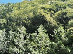 -圣莲山风景区