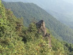 -江西阳明山国家森林公园