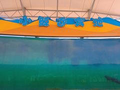 -北戴河圣蓝海洋公园