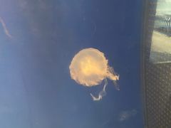-杭州海底世界