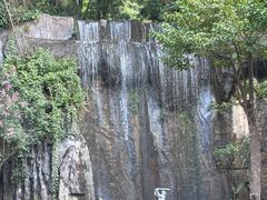 -西双版纳原始森林公园