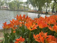-石家庄市植物园