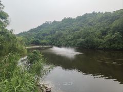 -重庆园博园
