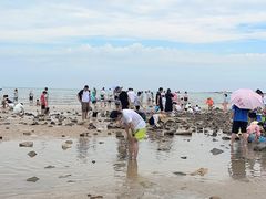 -巧克力渔家.小船海鲜胶东菜(万平口店)