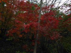 -丹东天桥沟景区