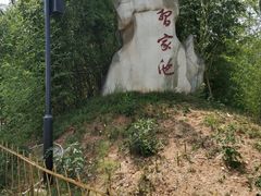 -习家池
