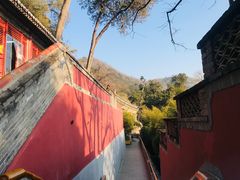 -潭柘寺景区