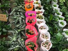 -秦美花卉(天朗·莱茵小城2期店)