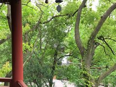 -汇龙潭
