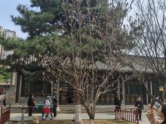 -护国法轮寺