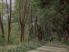 -广州雕塑公园