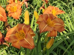 -汉长安城未央宫国家考古遗址公园