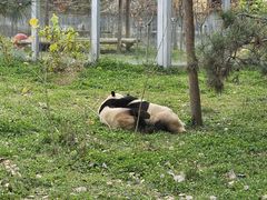 -西安秦岭野生动物园