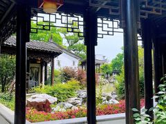 -芥子园