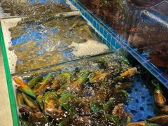 -星伦多自助料理(永旺店)