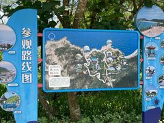 -广东惠东海龟国家级自然保护区