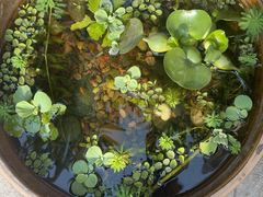 -川匠·睡眠采耳·SPA(九眼桥店)