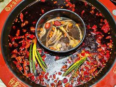 -矮板凳老火锅(宽窄巷子店)