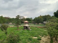 -东莞香市动物园