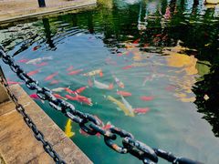 -长阳创谷