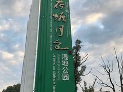 -荷塘月色湿地公园·向阳花洲