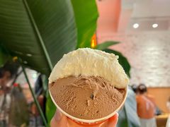 榛子巧克力-Dal Cuore 达可芮冰淇淋(陕西北路店)
