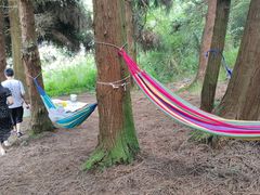 -武陵山森林公园