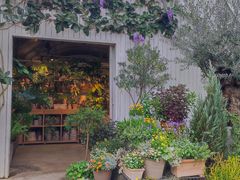 -自由生长植物工作室(深港花卉中心店)