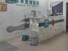 -乖乖宠物医院·猫科·骨科·24小时(云岗分院)