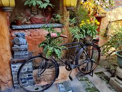 -园林美食城·本土农家菜(杨和镇店)