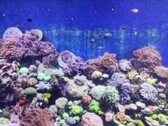 -珠海长隆海洋王国