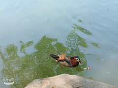 -颐和园