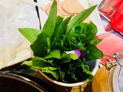 油麦菜-刘一锅筋头巴脑(小北店)