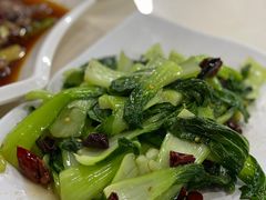 -天一沾水肥肠(科园一街店)