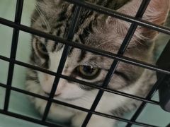 -达爱动物医院·犬猫分区·CT·复杂眼科(远洋山水分院)