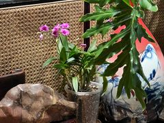 -谷咖啡·鲜花绿植花园餐厅