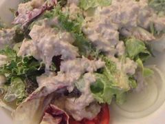 tuna&nbsp;salad-Fern Forest Cafe