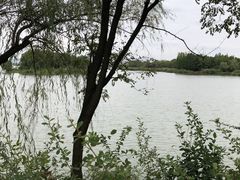 -长广溪湿地公园