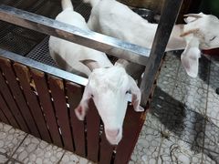-上海大自然野生昆虫馆