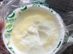 -德禄酸奶(小公园店)