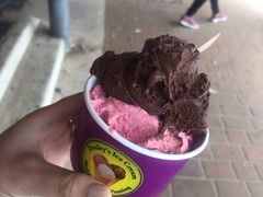 -Dooley's Premium Ice Cream