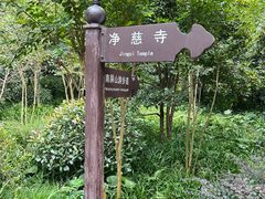 -九曜山