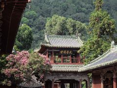 -报恩寺(平武县)