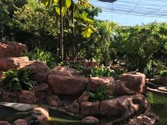 -吉隆坡雀鸟公园